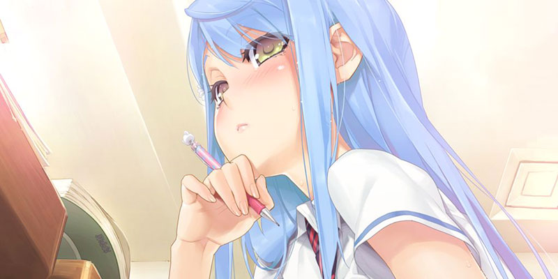 软件