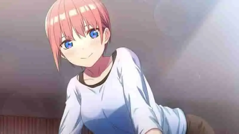 665535c295d01.webp
