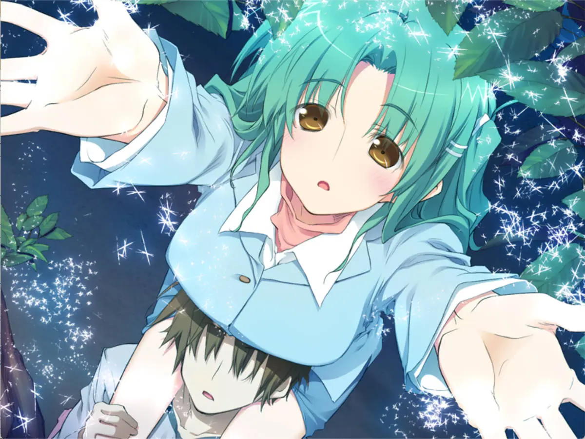 66d1ef0d441c6.webp
