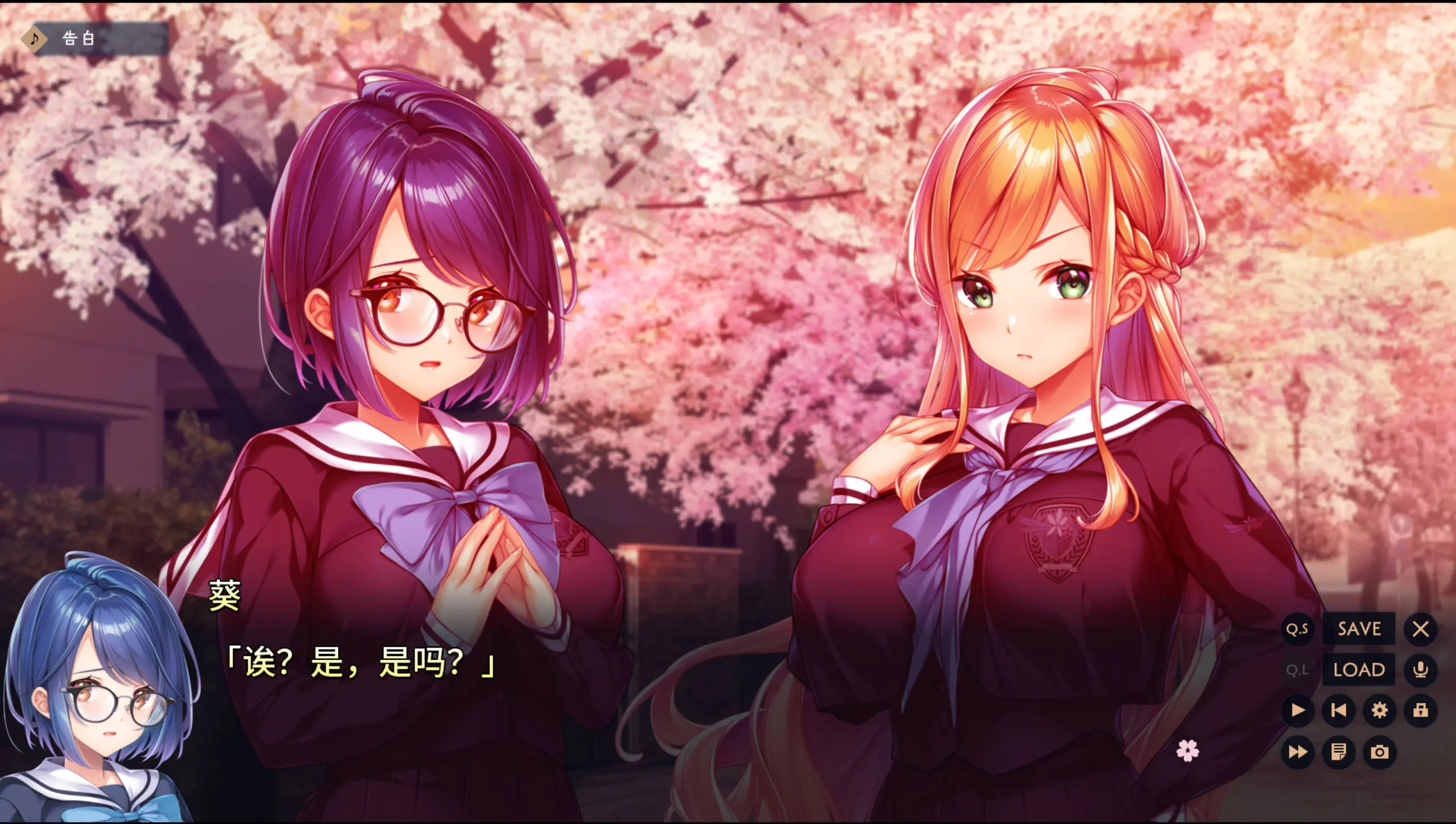670d46a8b7e5c.webp