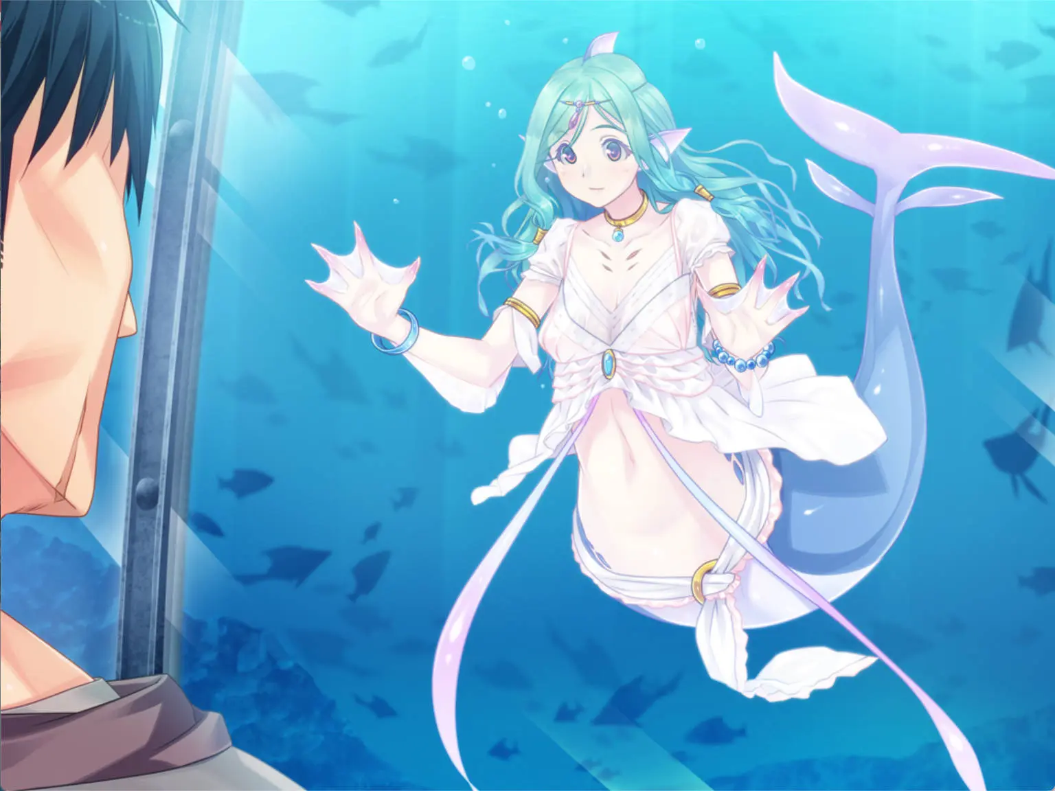 670e95dff1221.webp