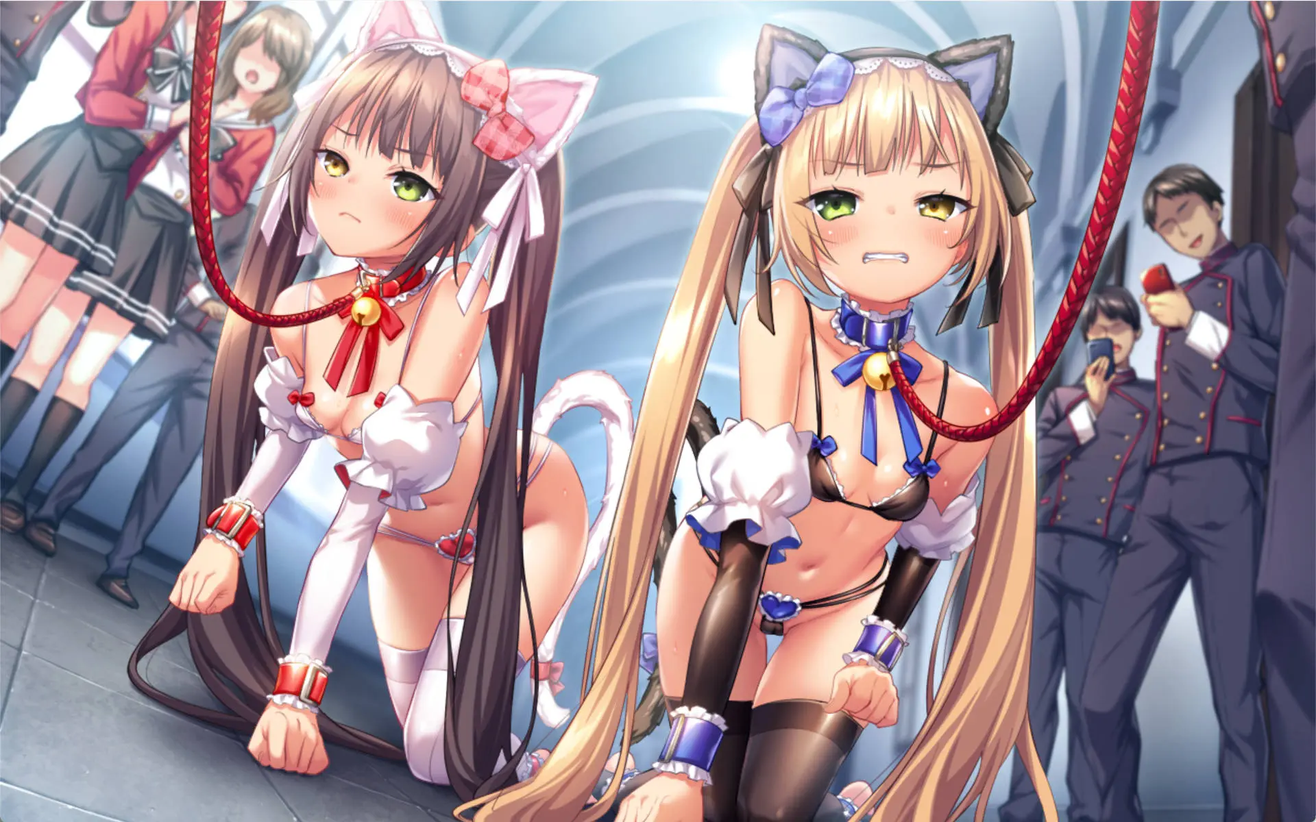 672c16e50738a.webp