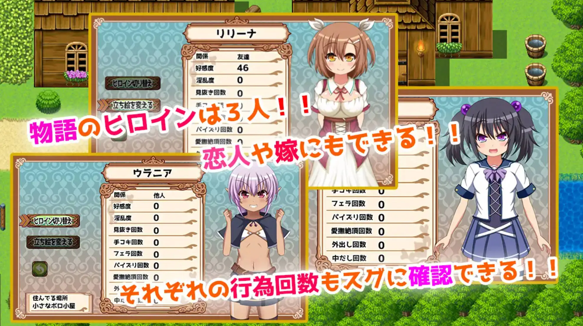 6736598dd4919.webp