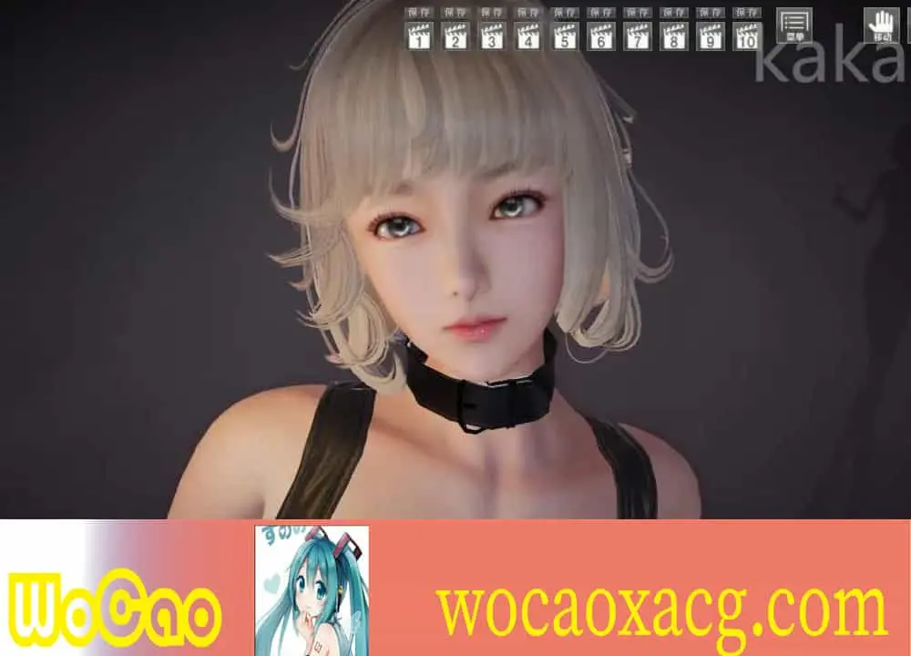 63a5d1136fb9e.webp
