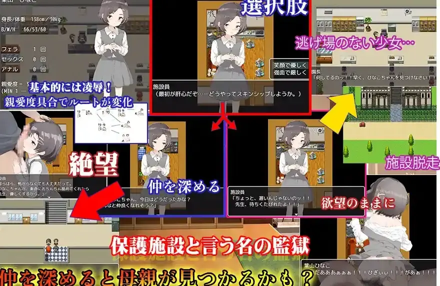 6748535d31f46.webp