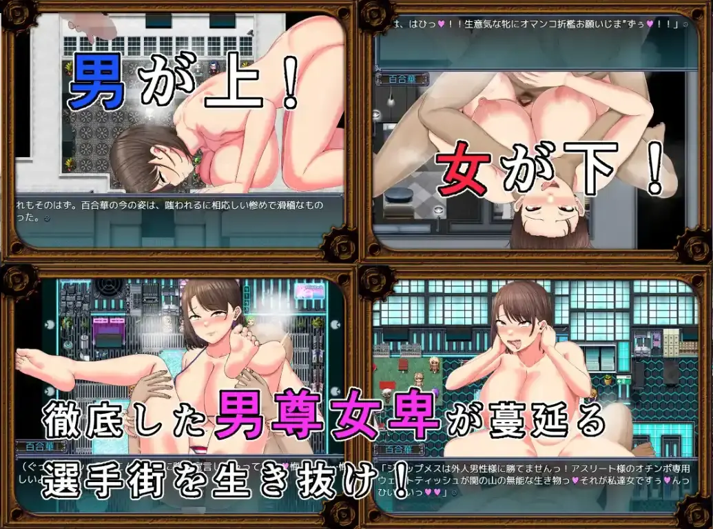 6749a1ef70558.webp