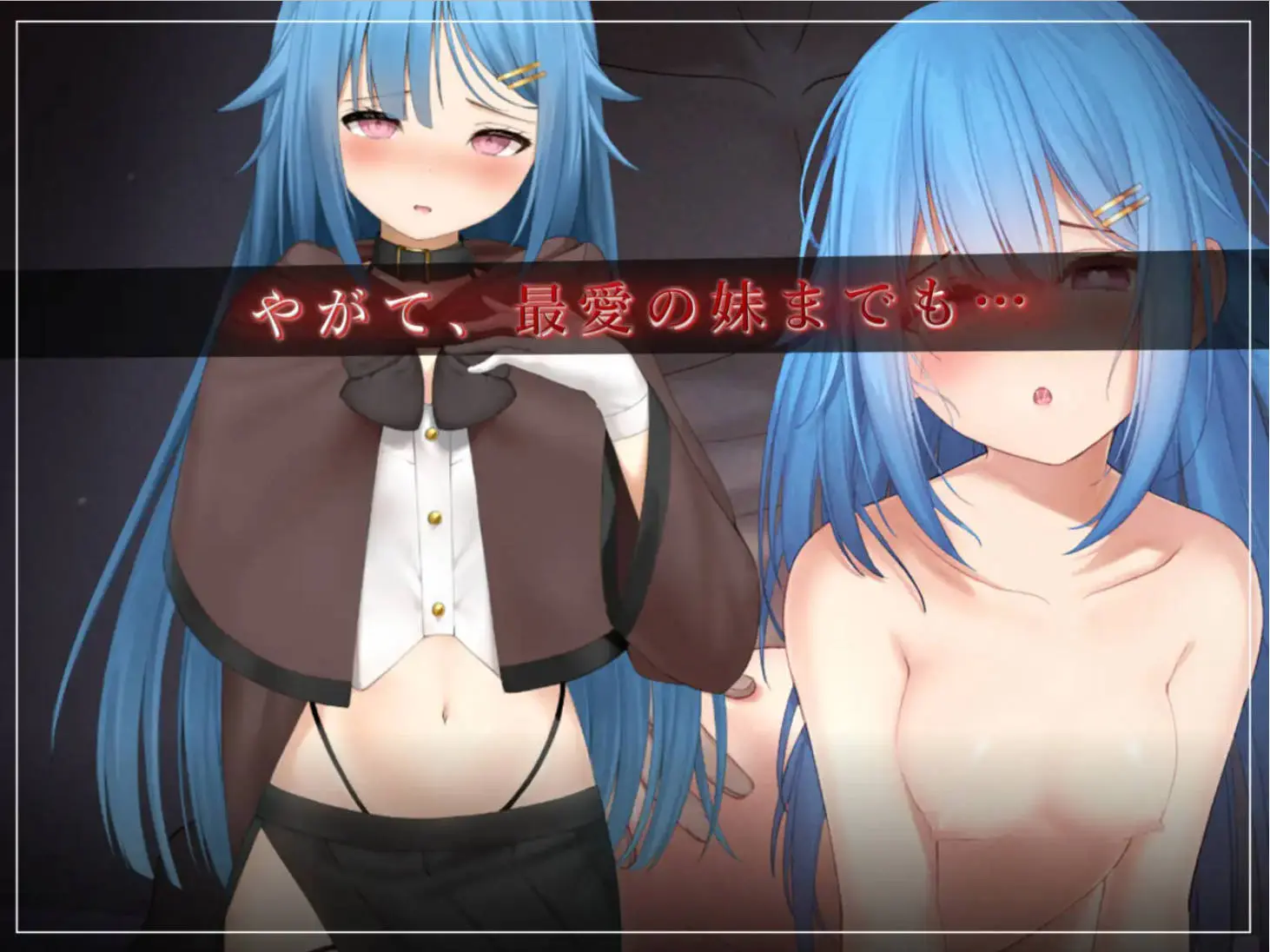 675102c351953.webp