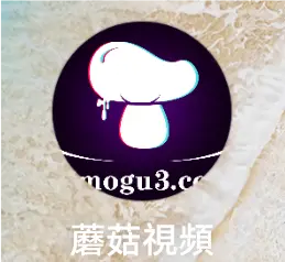 Screenshot_2025_0421_215320.webp