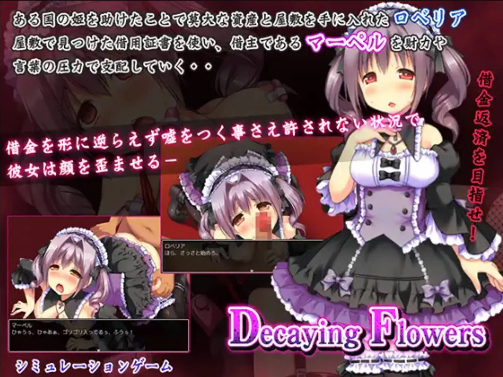 67586dd4c96fa.webp