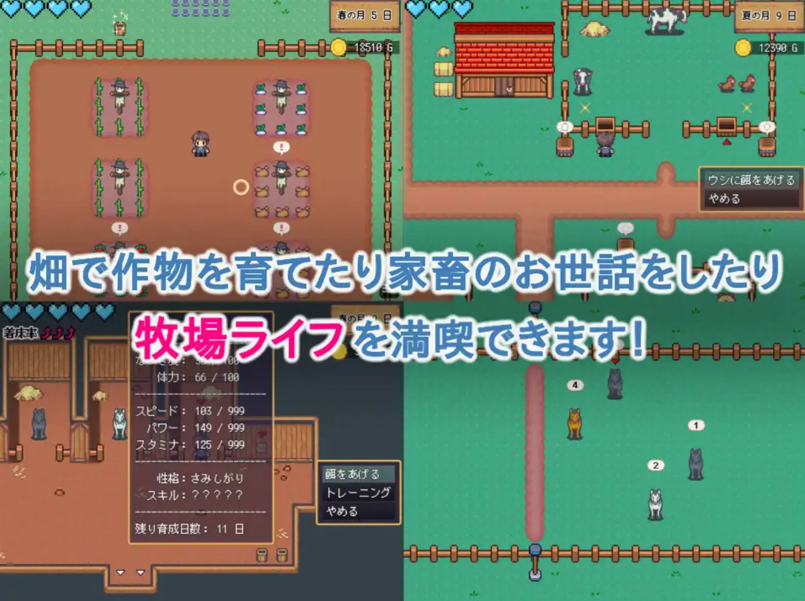 675f8478b2950.webp