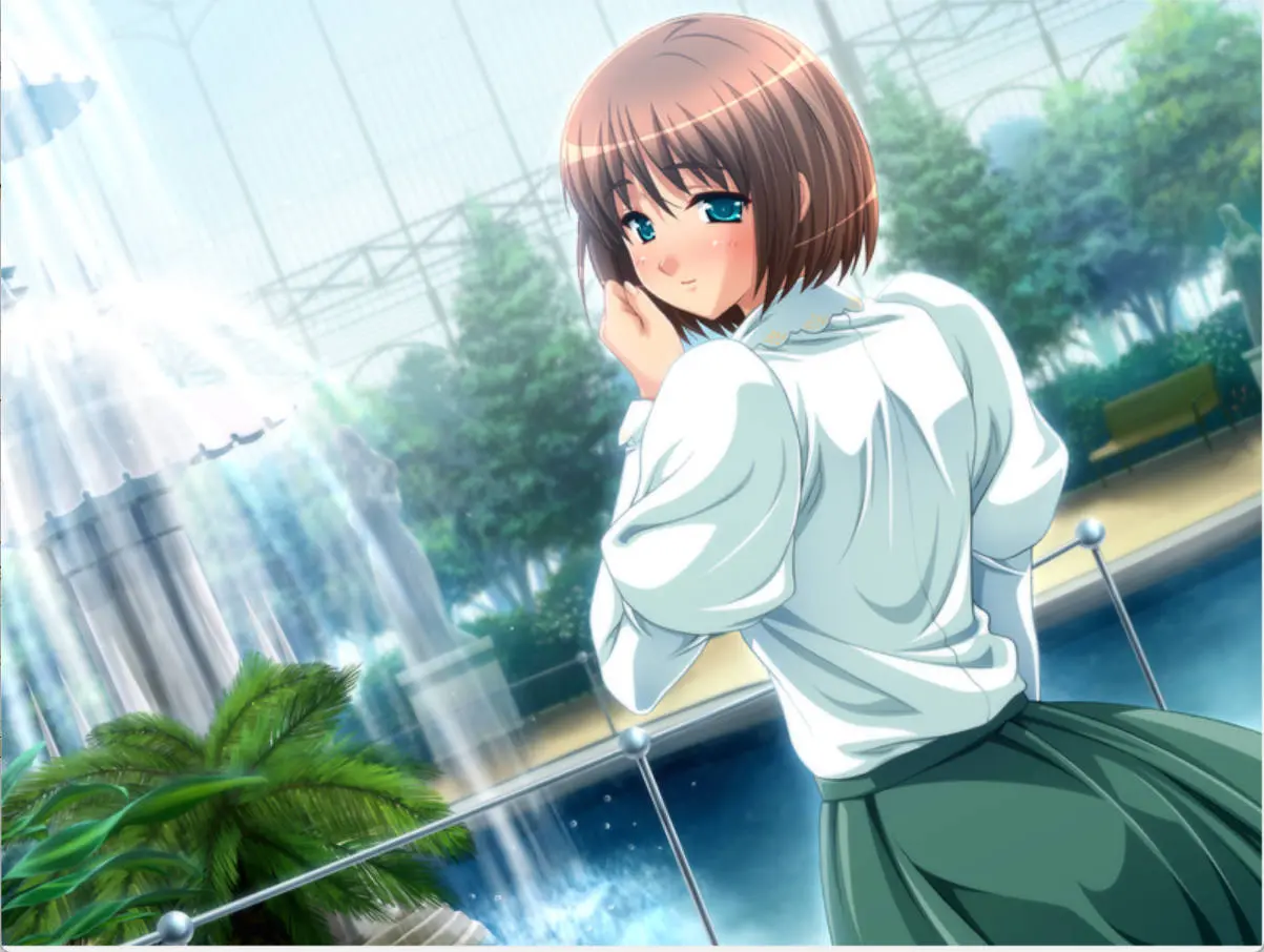 6771fe8c31a31.webp