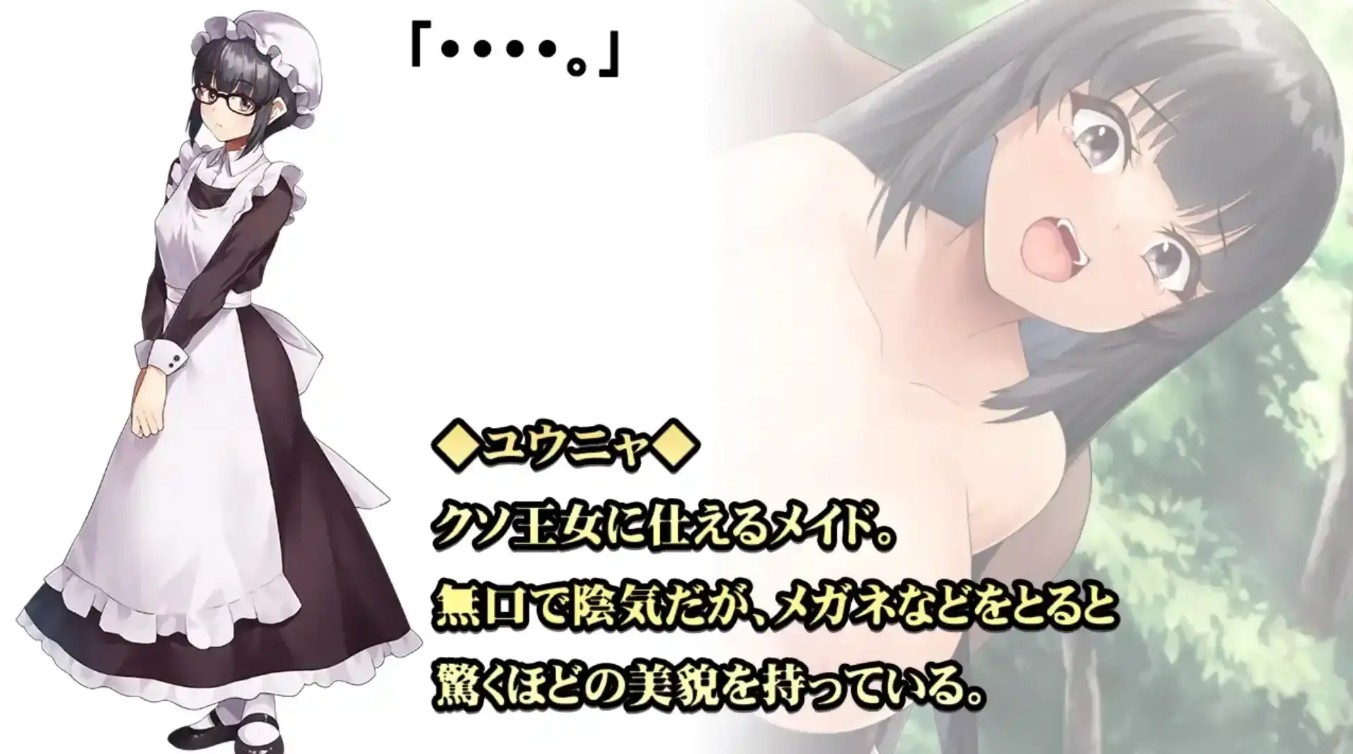 67b5c1784cc92.webp