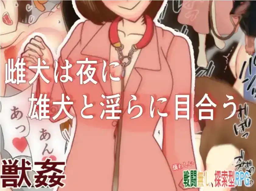 67c444dc9d597.webp