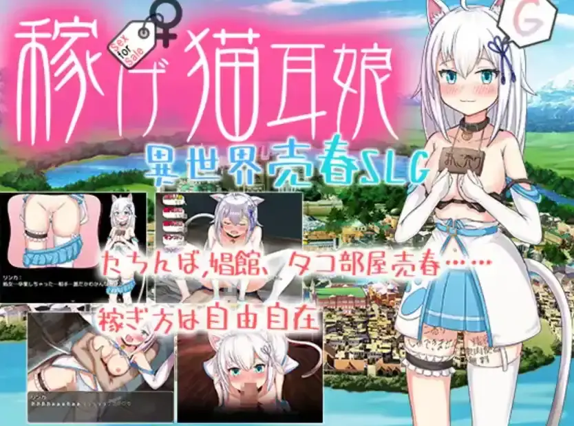 67e68da9542dc.webp