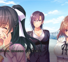[ADV] ]我妻子是怎么怀上的…/AI汉化版+特典+全CG存档+全CV（5.17G）