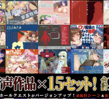 【爆款RPG/汉化/双端】飞机杯英雄1.0【PC+安卓/2.28G】