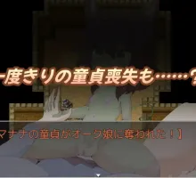 【爆款RPG/AI汉化】双性人杂货店1.0汉化版【PC+安卓/1.35G】