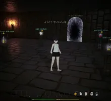 [3D/PC/官中] 冒険者の初級地下城 Ver0513